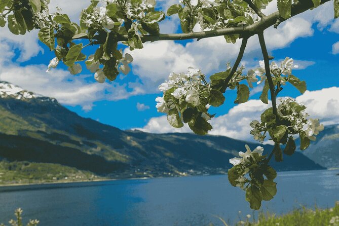 Guided tour to Hardangerfjord with Waterfalls and Ferry Crossing - The Jondal ferry and the return to Bergen