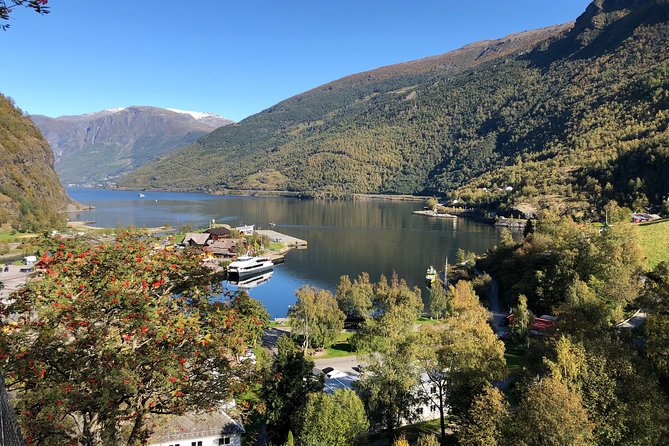 Guided Tour To Nærøyfjorden, Flåm And Stegastein - Viewpoint Cruise - Practical details before you book