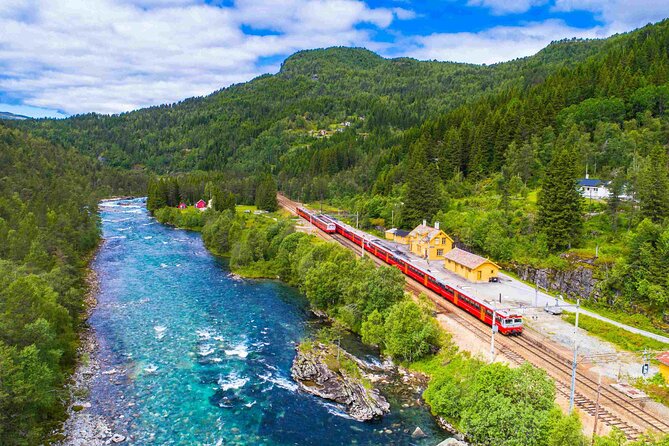 Guided tour to Viking Village, Nærøyfjorden Cruise & Flåm Railway - One long day from Bergen to the fjords