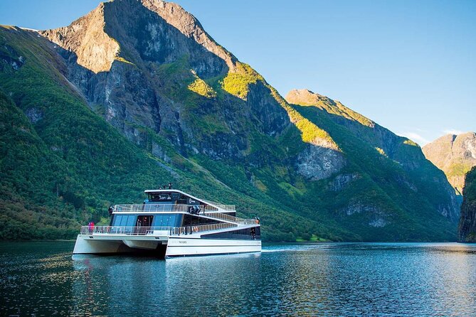 Guided tour to Viking Village, Nærøyfjorden Cruise & Flåm Railway - Riding the Flåm Railway to Myrdal