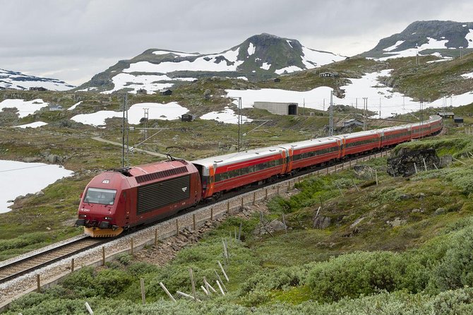 Guided tour - Viking Village, Nærøyfjord Cruise and Flåm Railway - Aurlandsfjord and arrival in Flåm