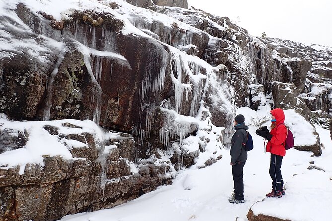Guided winter hike to Pulpit Rock Preikestolen - What the $149.35 price includes