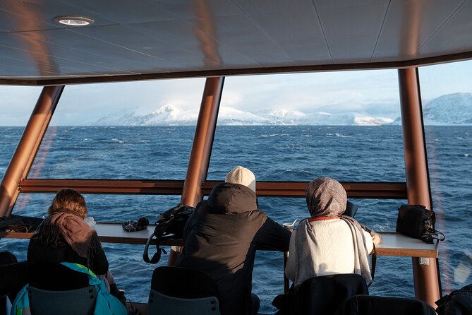 Half Day Arctic Fjord Cruise from Tromso - The hybrid-electric boat is part of the appeal