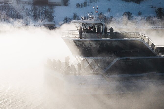 Half Day Arctic Fjord Cruise from Tromso - Who will enjoy this cruise most?