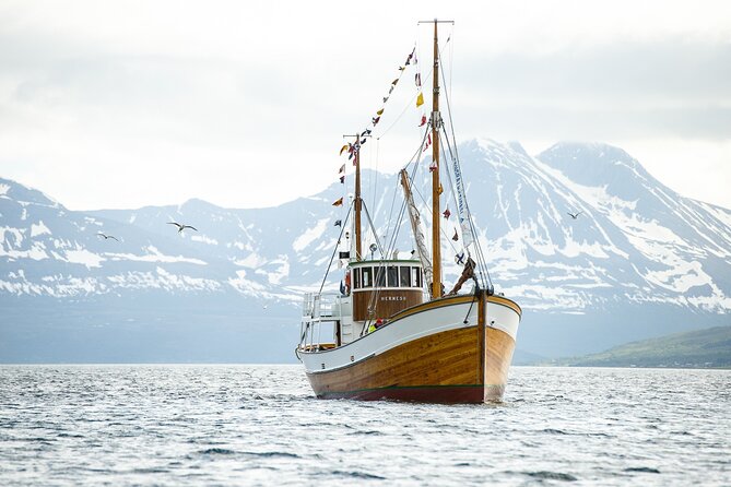 Half-Day Fishing & Fjord Cruise Adventure from Tromsø in Norway - Arctic Cathedral and Tromsø Bridge from the water