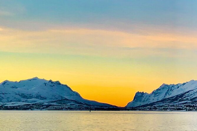 Half-Day Scenic Wildlife & Photographic Fjord Tour. - Wildlife watching on Kvaløya