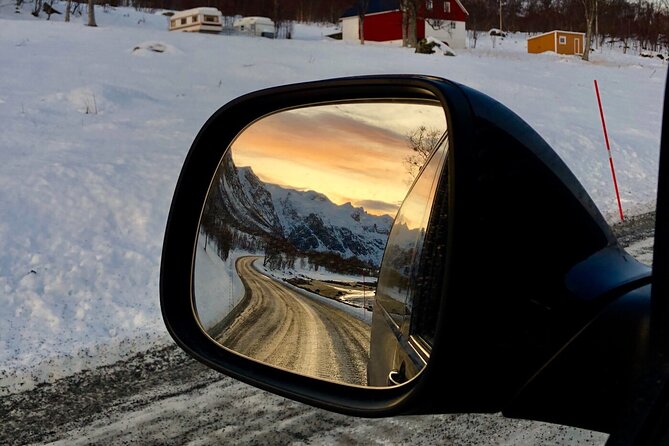 Half-Day Scenic Wildlife & Photographic Fjord Tour. - Winter light from November 28 to January 15