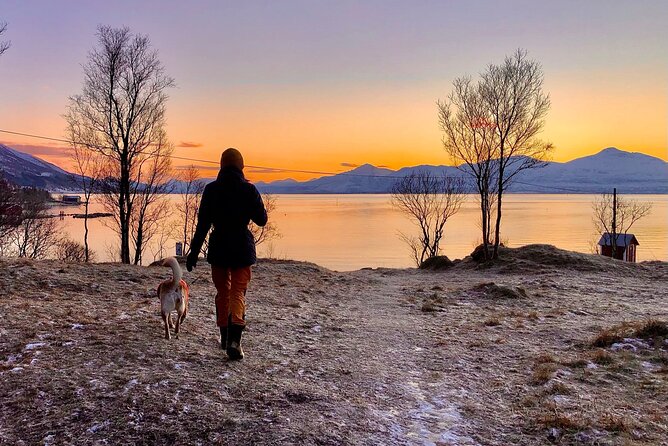 Half-Day Scenic Wildlife & Photographic Fjord Tour. - Weather, clothing, and comfort on the road