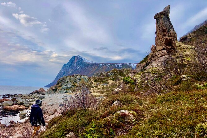 Half-Day Scenic Wildlife & Photographic Fjord Tour. - Who will enjoy this outing most