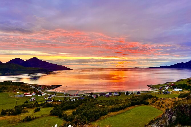 Half-Day Scenic Wildlife & Photographic Fjord Tour. - Fjords, viewpoints, and the value of a local route