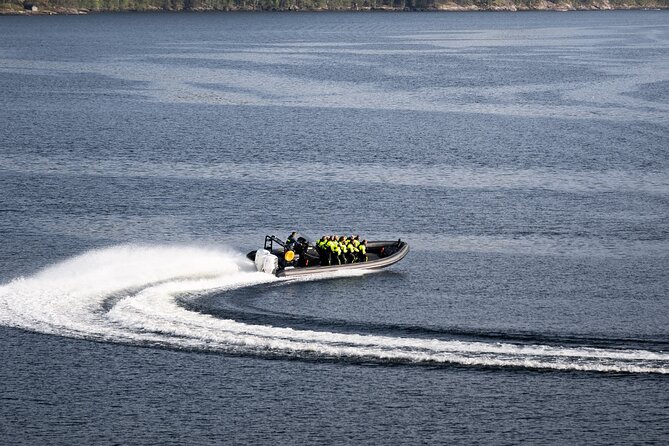 Hardangerfjord Ultimate RIB adventure from Ulvik - The Hardanger Bridge from the water