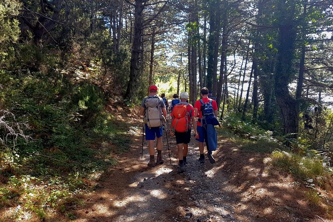 Hiking Vrmac peninsula with panoramic view on Kotor bay - Reaching toward Sveti Ilija