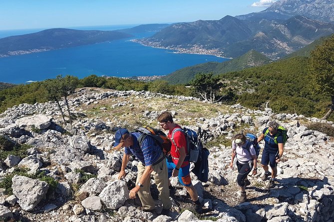 Hiking Vrmac peninsula with panoramic view on Kotor bay - Timing, cancellation, and practical planning