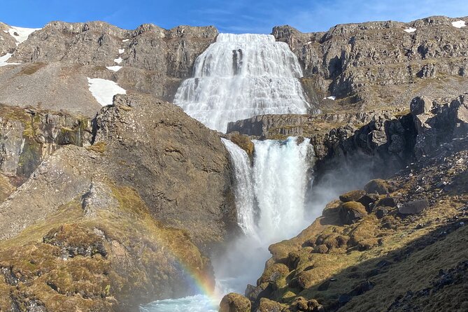 Isafjordur and Westfjords Private Tour - Key points to know before you book