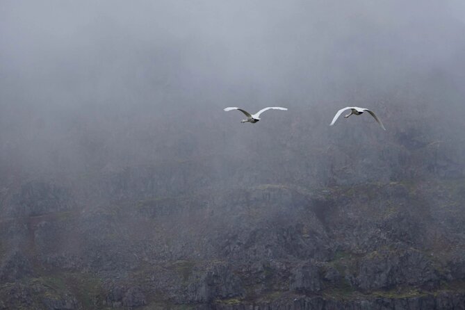 Isafjordur and Westfjords Private Tour - Þingeyri and Sandafell: a village with Viking-era roots
