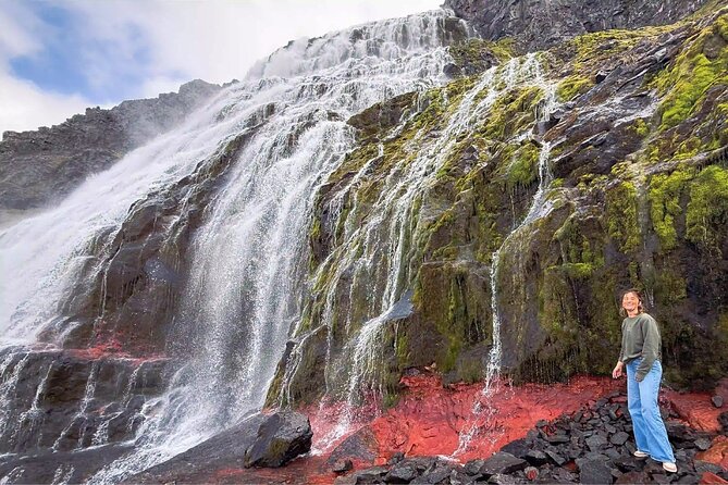 Isafjordur and Westfjords Private Tour - What the private format adds