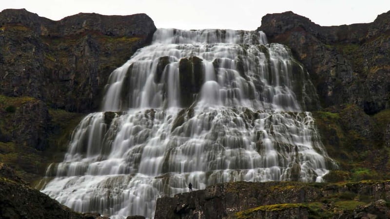 Isafjordur: Dynjandi Waterfall Guided Tour - One hour at Dynjandi Waterfall