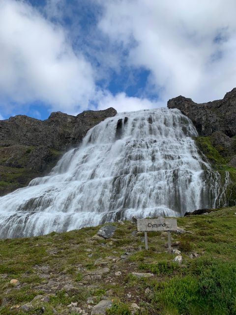 Isafjordur: Dynjandi Waterfall Tour and Icelandic Farm Visit - The Westfjords drive is more than a transfer