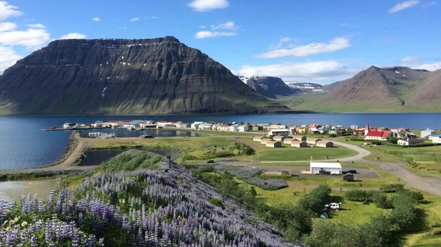 Ísafjörður: Flateyri Village tour: Nature, Culture, History - Key points at a glance