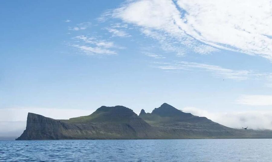Ísafjörður: Hornstrandir Nature Reserve Guided Hike - Hælavíkurbjarg and the Hornvík Shore