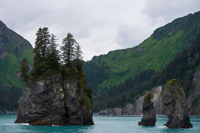 Kenai Fjords and Resurrection Bay Half-Day Wildlife Cruise - Why this short Seward cruise works so well