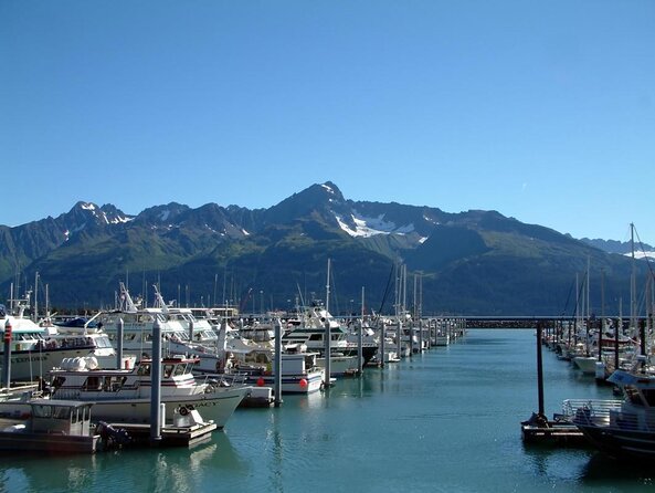Kenai Fjords and Resurrection Bay Half-Day Wildlife Cruise - Cape Resurrection and the wildlife watch