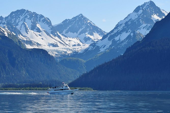 Kenai Fjords and Resurrection Bay Half-Day Wildlife Cruise - Whales, porpoises, and the luck factor