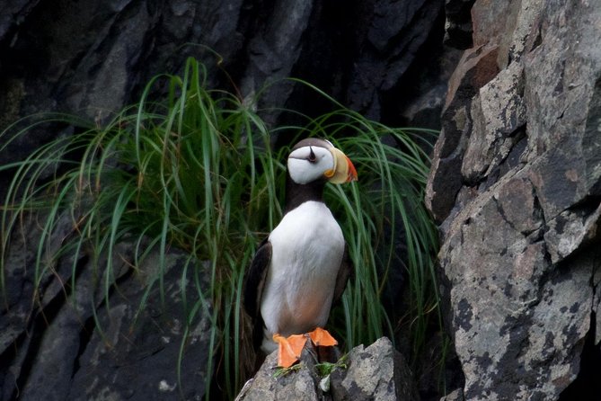 Kenai Fjords and Resurrection Bay Half-Day Wildlife Cruise - What the boat is like in cold or wet weather