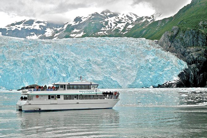 Kenai Fjords National Park Glacier Dinner Cruise from Seward - Wildlife watching on a moving boat
