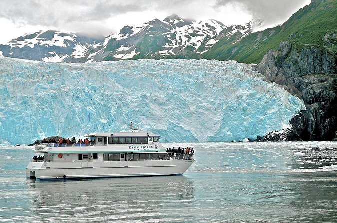 Kenai Fjords National Park Glacier Dinner Cruise from Seward - Is the $223.85 price a fair deal?