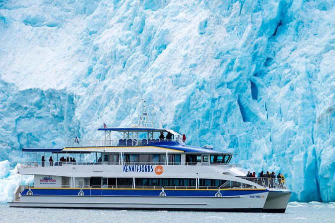 Kenai Fjords National Park Glacier & Wildlife Cruise - Holgate or Aialik Glacier up close