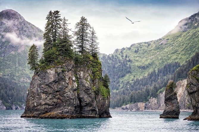 Kenai Fjords National Park Glacier & Wildlife Tour from Seward - What makes this Seward cruise worth considering