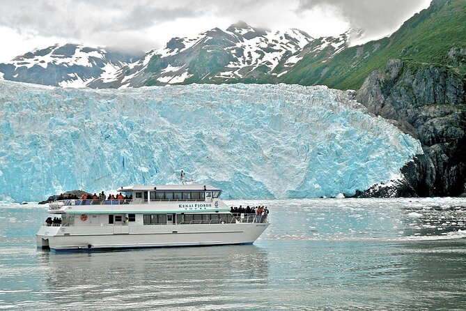 Kenai Fjords National Park Glacier & Wildlife Tour from Seward - Wildlife watching in plankton-rich waters