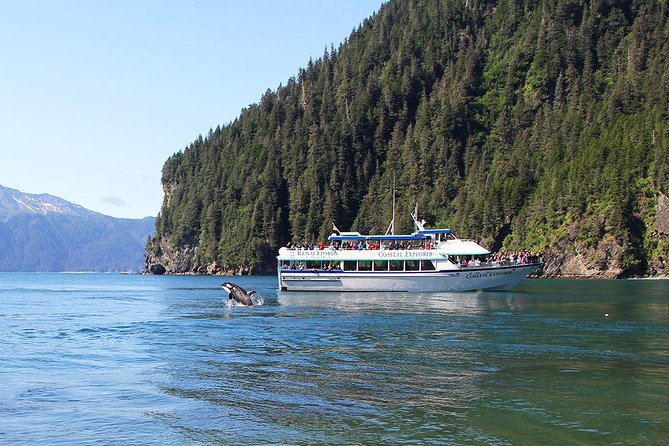 Kenai Fjords National Park Glacier & Wildlife Tour from Seward - Puffins, cliffs, and the Alaska Maritime National Wildlife Refuge
