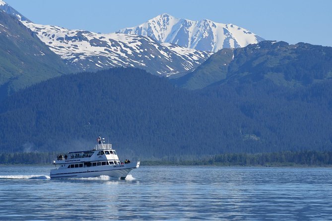 Kenai Fjords Orca Quest Cruise - The $165.93 price and what it includes