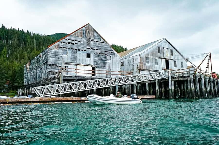 Ketchikan: Scenic Drive & George Inlet Fjords Zodiac Cruise - Beaver Falls Salmon Cannery and the rainforest trail