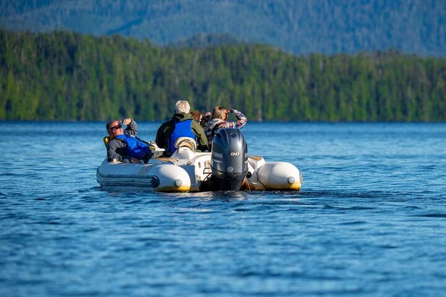 Ketchikan: Scenic Drive & George Inlet Fjords Zodiac Cruise - George Inlet Fjords and glacier-carved cliffs