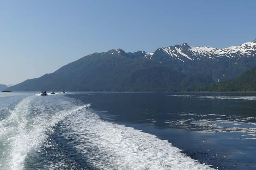 Ketchikan: Scenic Drive & George Inlet Fjords Zodiac Cruise - What the guide adds to the trip