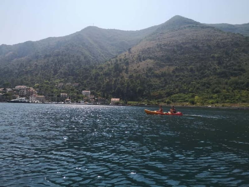 Kotor: Guided Kotor Bay Kayaking Tour - Key points to know before you paddle