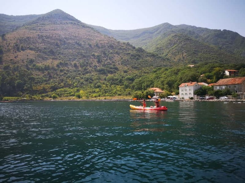 Kotor: Guided Kotor Bay Kayaking Tour - What the $42 price really covers