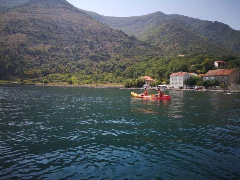 Kotor: Guided Kotor Bay Kayaking Tour - Practical tips for a smoother morning