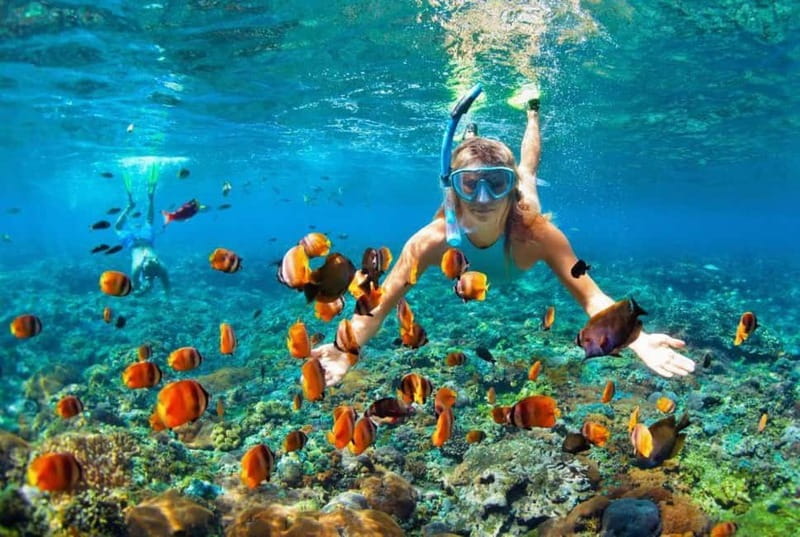 Kotor: Private Blue Cave + All destinations inside Kotor Bay - Porto Novi and Porto Montenegro from the water
