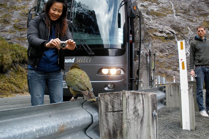 Luxury Milford Sound Coach and Scenic Cruise - Eglinton Valley brings wide-open views