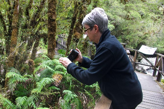 Luxury Milford Sound Coach and Scenic Cruise - Mirror Lakes rewards a calm, clear moment
