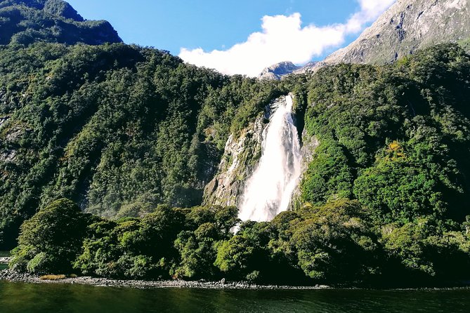 Luxury Milford Sound Coach and Scenic Cruise - Fiordland National Park is the real road trip