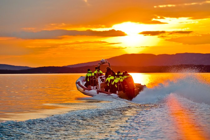 Lysefjord RIB Safari from Stavanger - What the two-hour format really gives you
