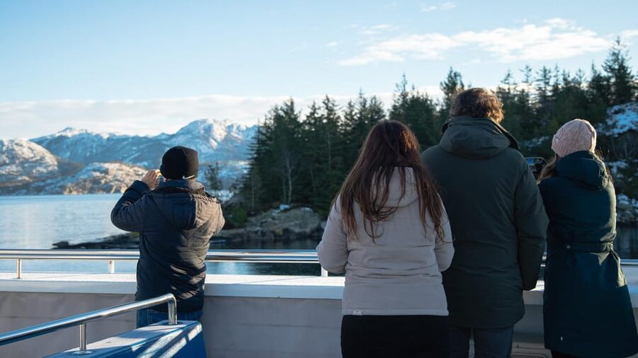 Lysefjorden cruise & Preikestolen guided hike - winter - Why this winter combination works so well