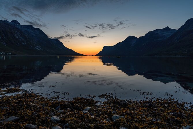 Midnight fjord tour - Kattfjordeidet is the scenic drive