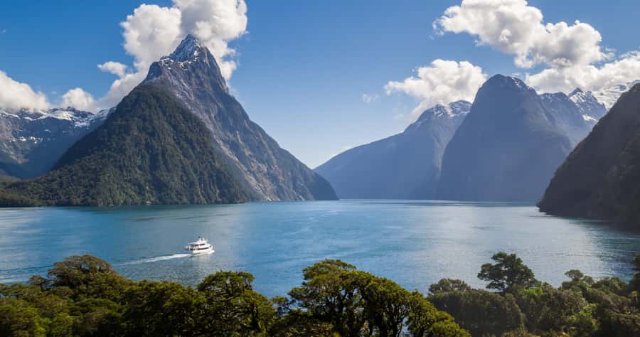 Milford Sound: Boutique Small-Boat Cruise - What the crew adds to the ride
