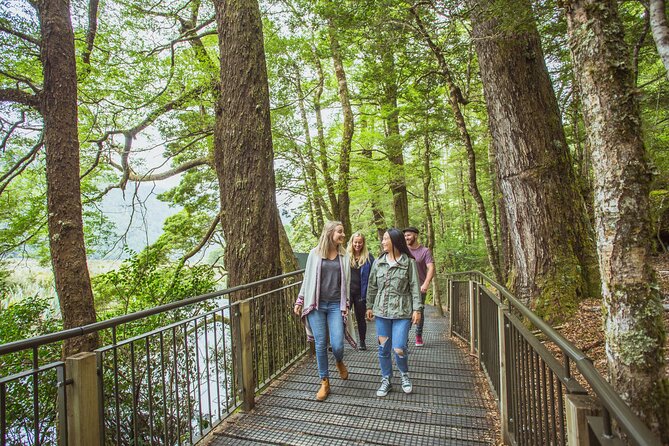 Milford Sound Coach and Cruise tour from Queenstown - Te Anau gives you a useful 30-minute break